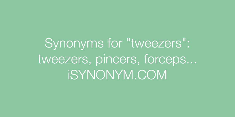 Synonyms tweezers