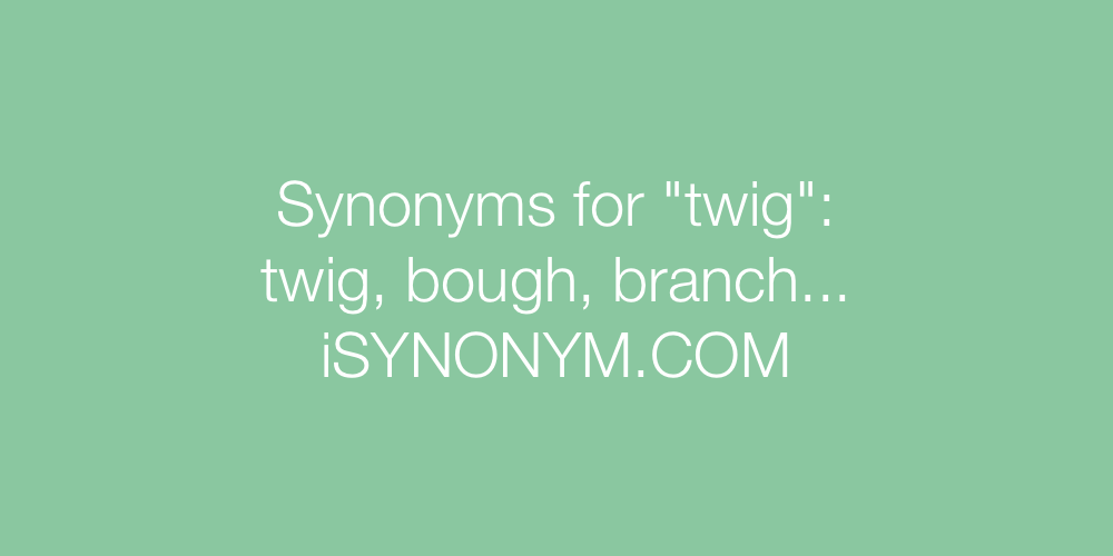 Synonyms twig