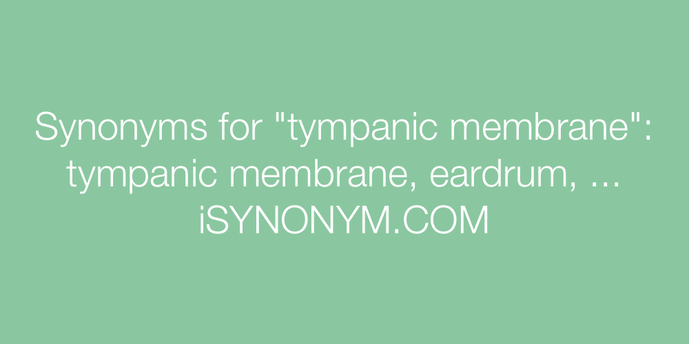 Synonyms tympanic membrane