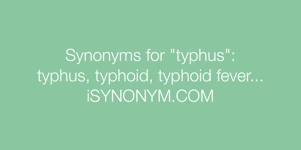 Synonyms typhus