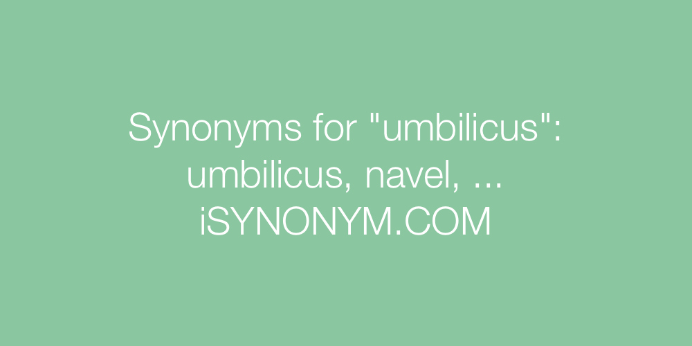 Synonyms umbilicus