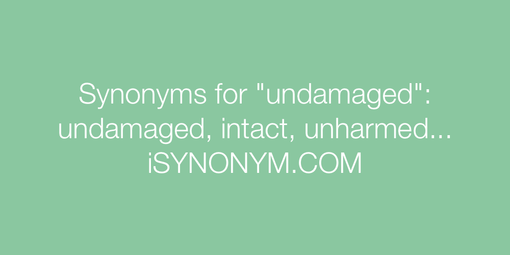 Synonyms undamaged