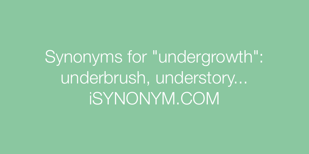 Synonyms undergrowth