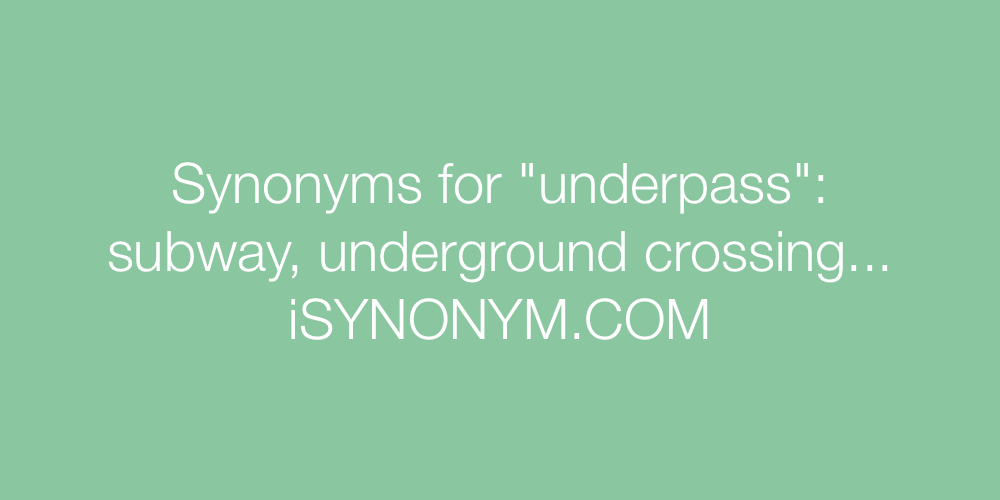 Synonyms underpass