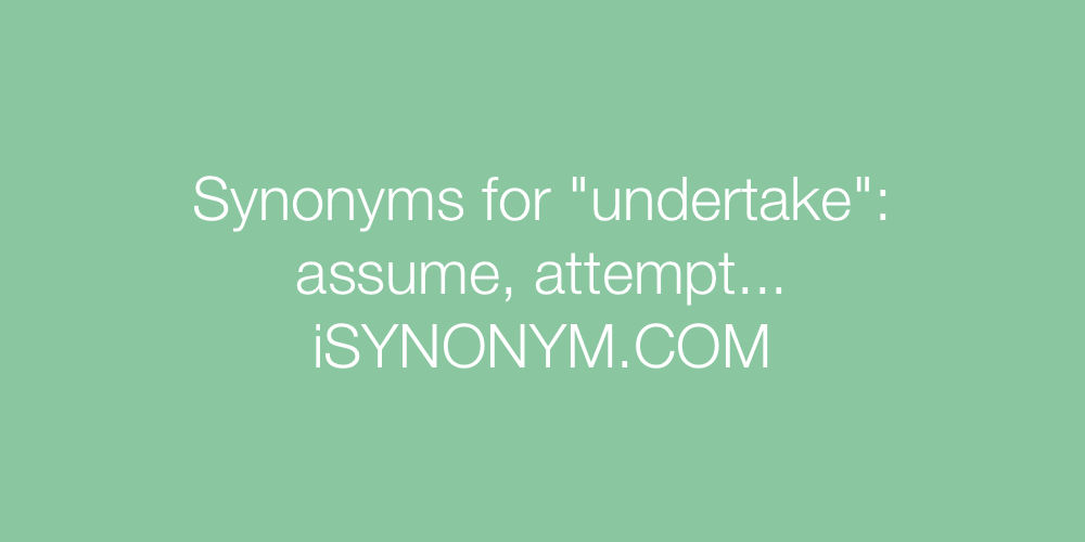 Synonyms undertake