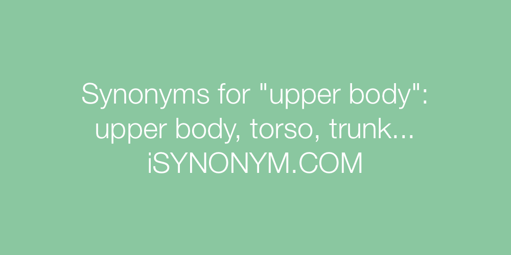 Synonyms upper body