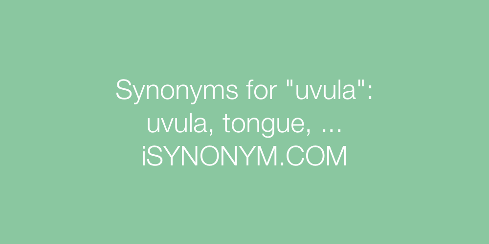 Synonyms uvula