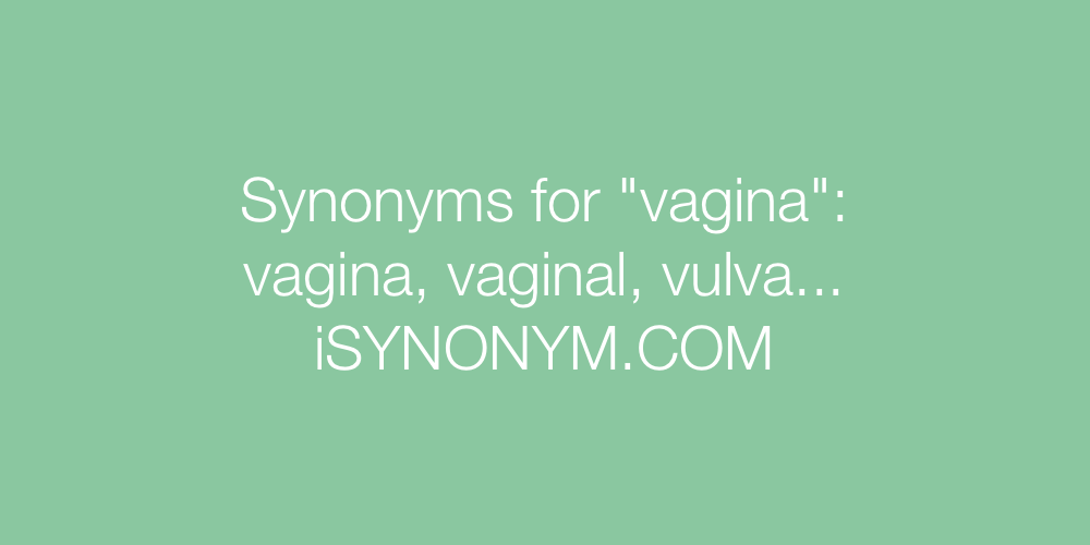 Synonyms vagina