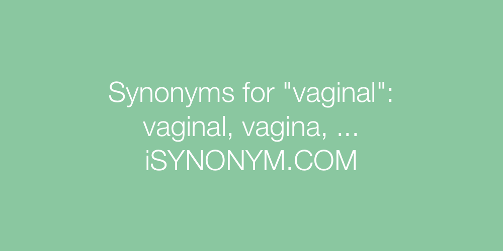 Synonyms vaginal