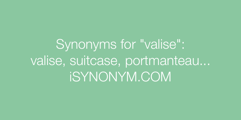 Synonyms valise