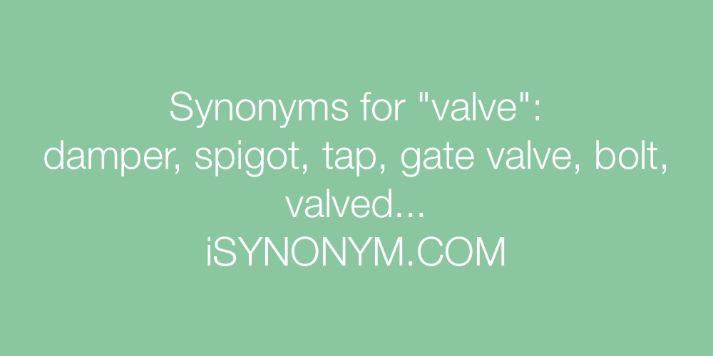 Synonyms valve