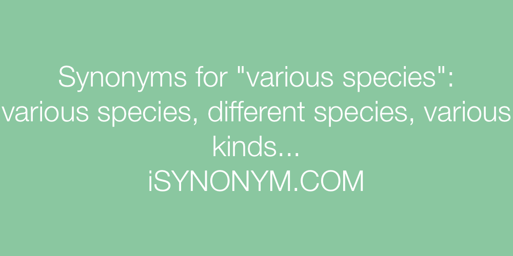 Synonyms various species