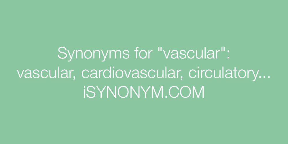 Synonyms vascular