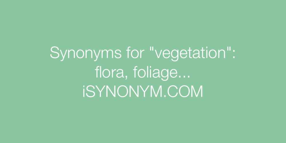 Synonyms vegetation
