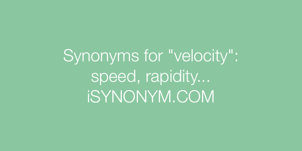 Synonyms velocity