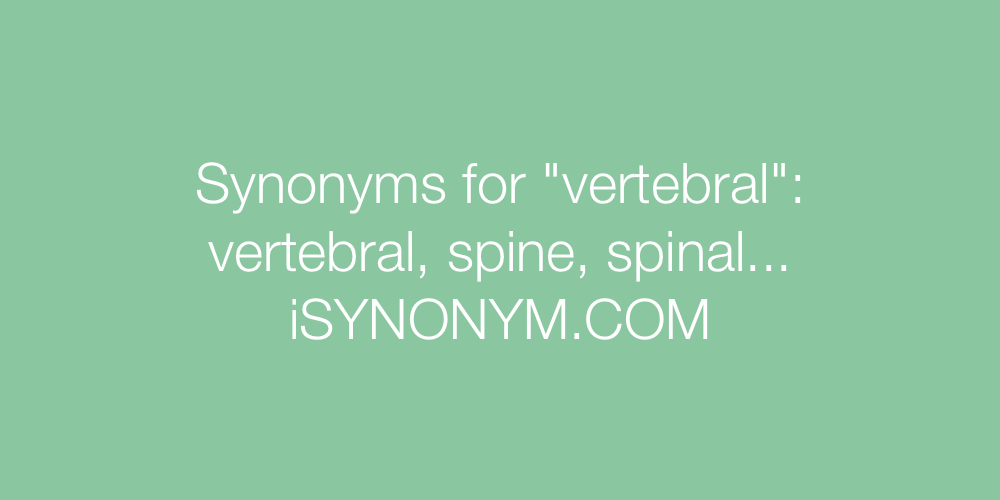 Synonyms vertebral