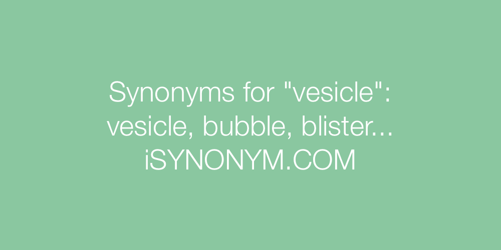 Synonyms vesicle