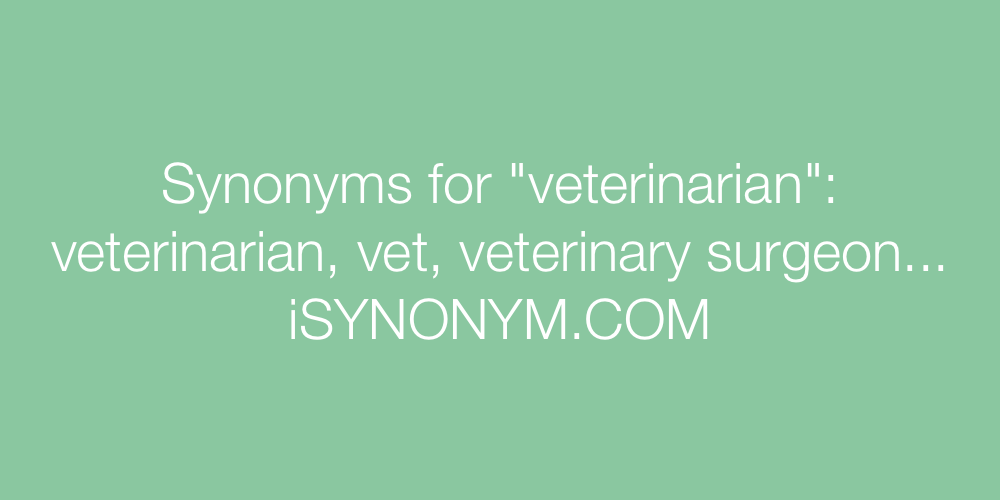 Synonyms veterinarian