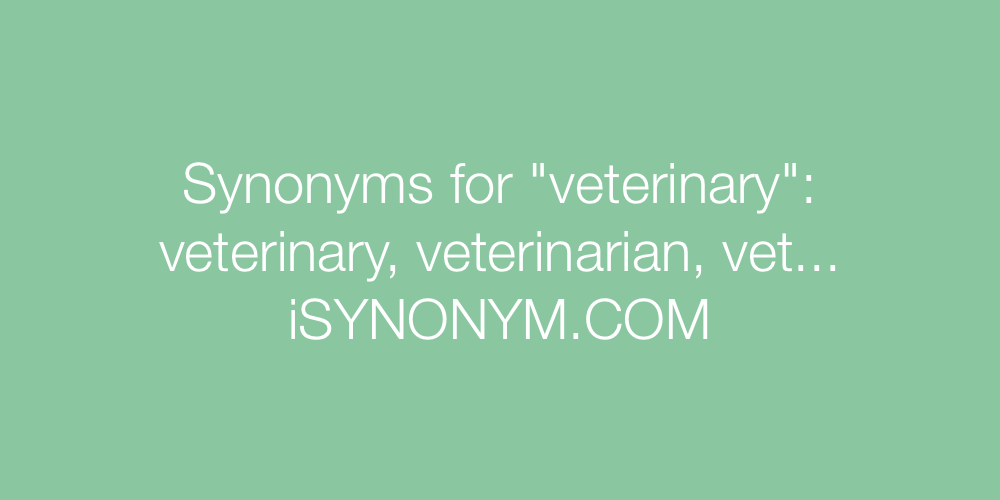 Synonyms veterinary