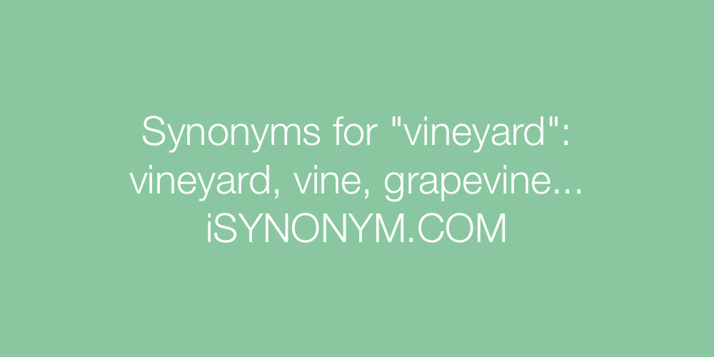Synonyms vineyard