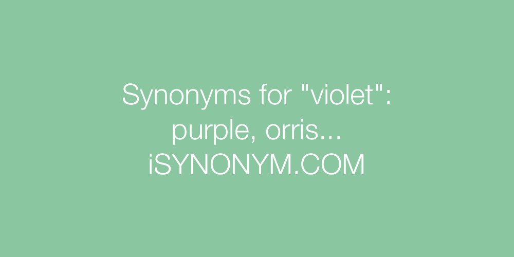 Synonyms violet