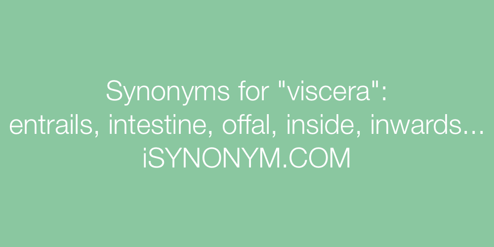Synonyms viscera