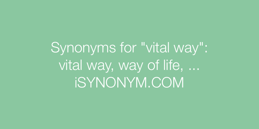 Synonyms vital way