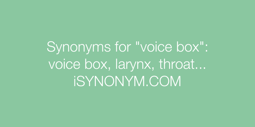 Synonyms voice box