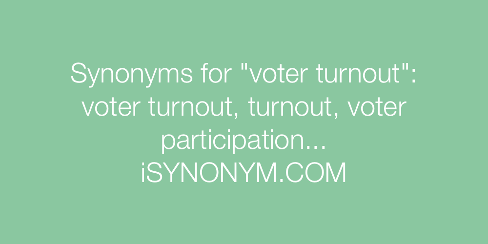Synonyms voter turnout