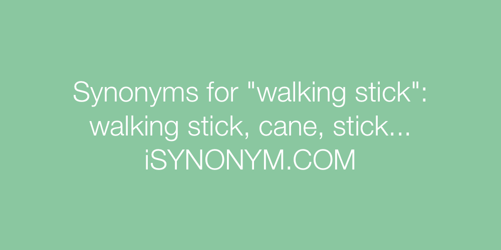 Synonyms walking stick