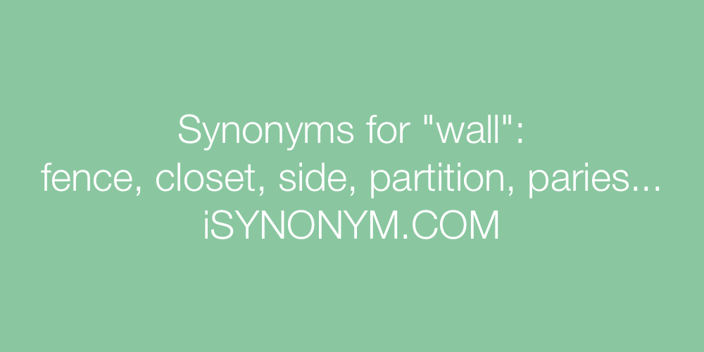 Synonyms wall