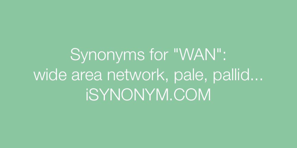 Synonyms WAN