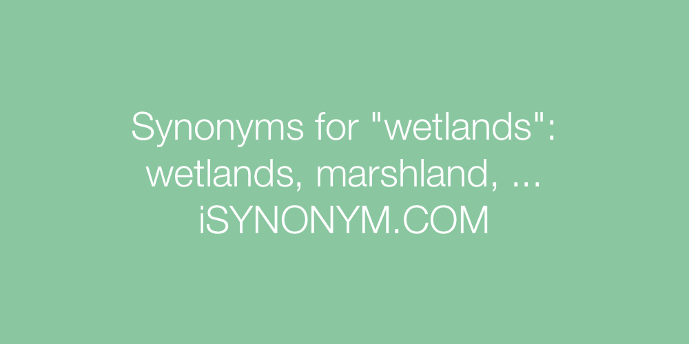 Synonyms wetlands