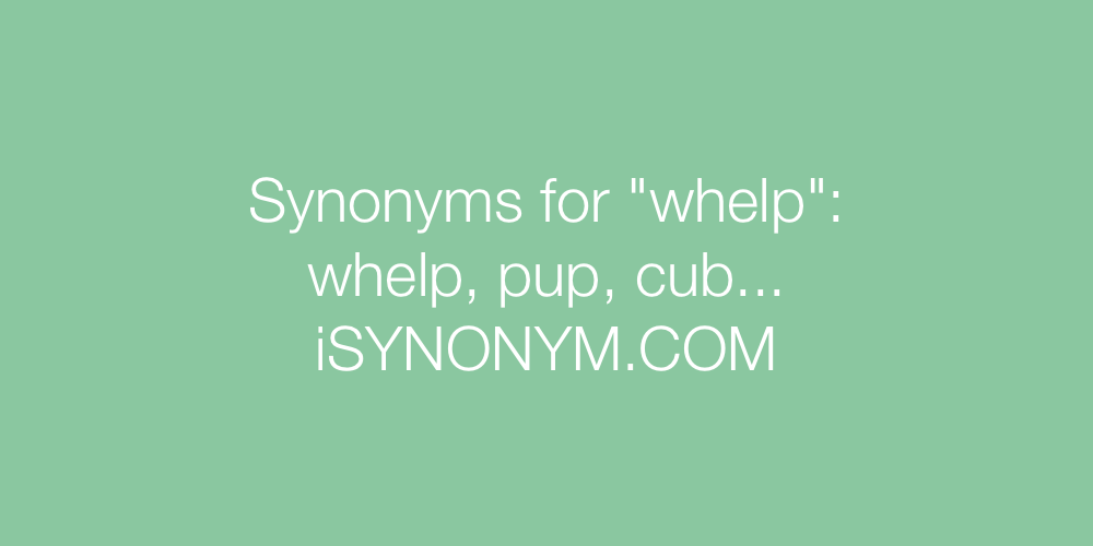 Synonyms whelp