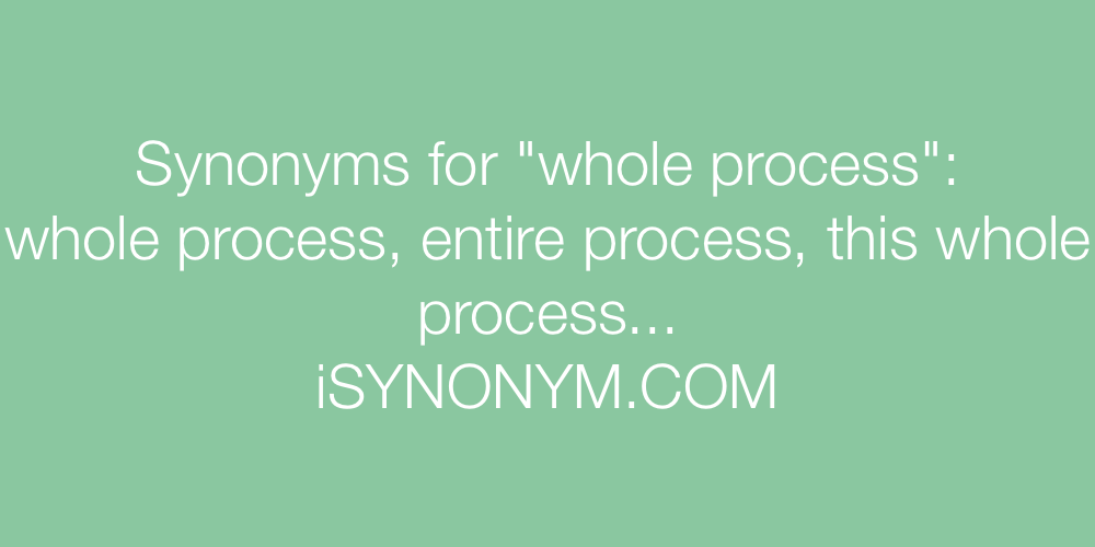 Synonyms whole process