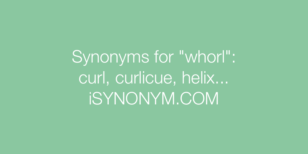 Synonyms whorl