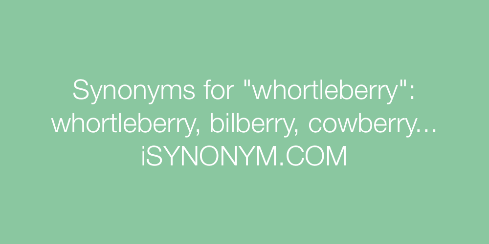 Synonyms whortleberry