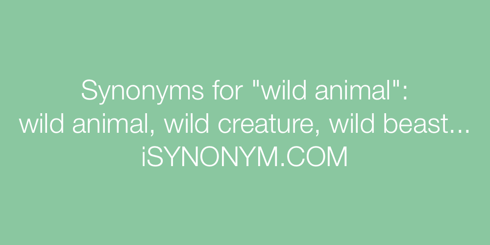 Synonyms wild animal
