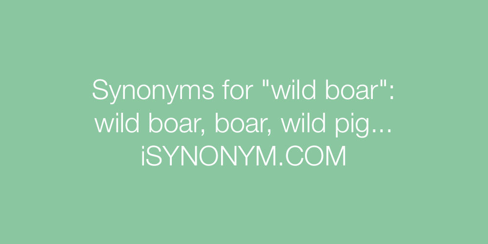 Synonyms wild boar