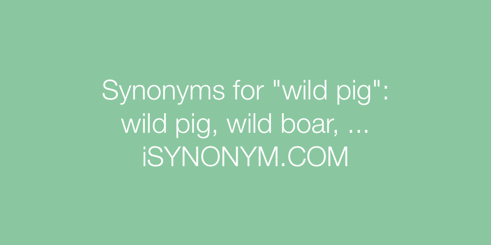 Synonyms wild pig