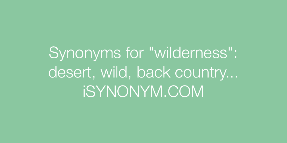 Synonyms wilderness
