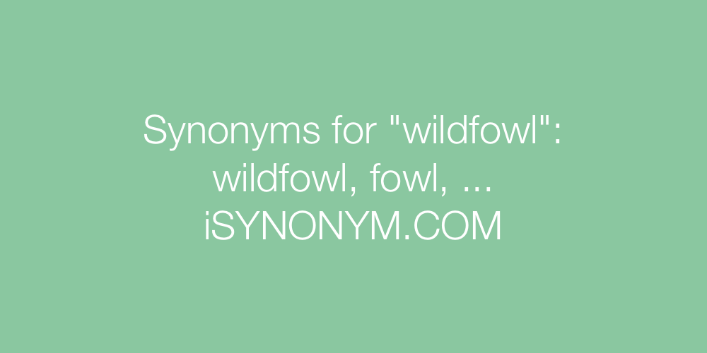 Synonyms wildfowl