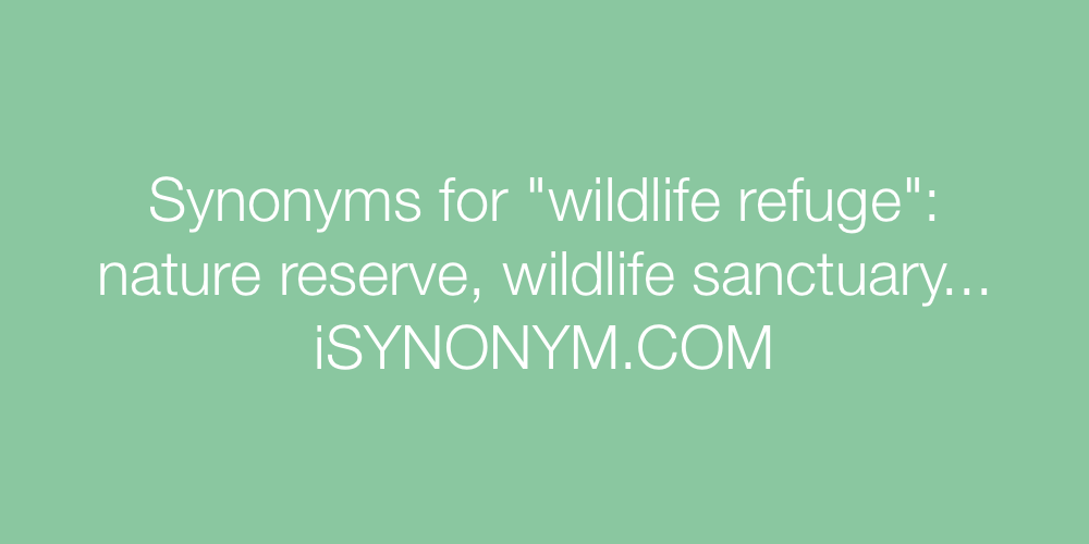 Synonyms wildlife refuge