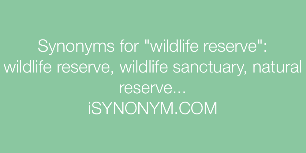 Synonyms wildlife reserve