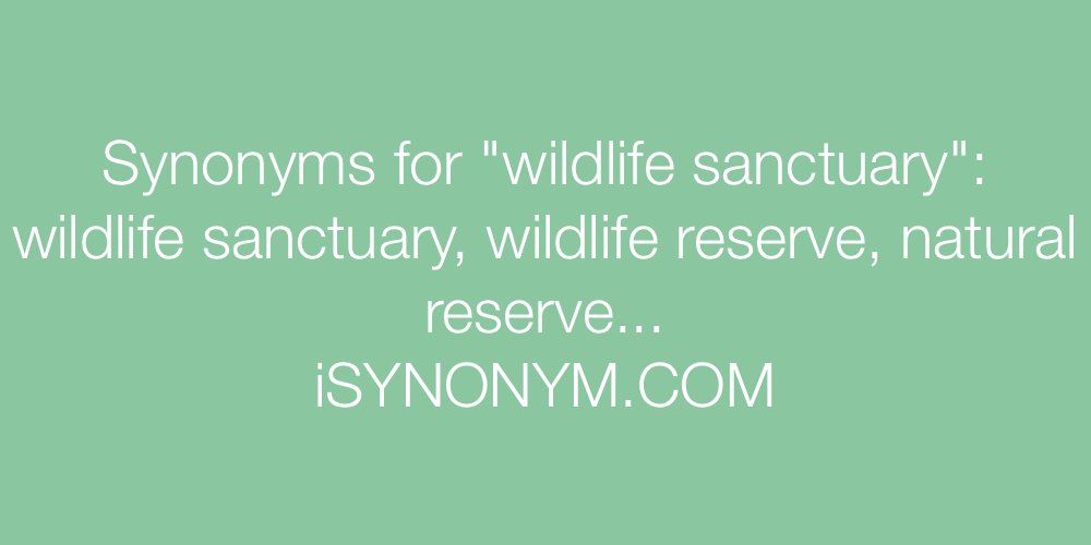 Synonyms wildlife sanctuary