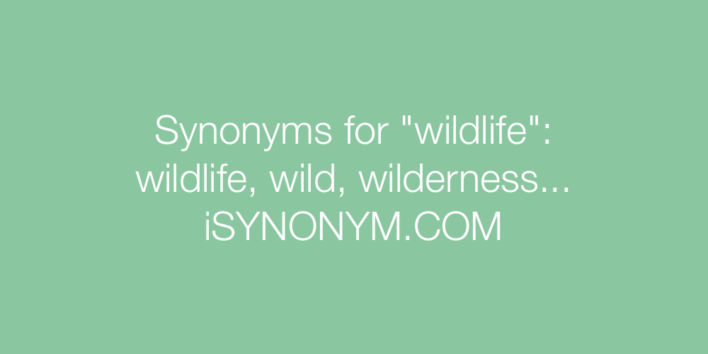 Synonyms wildlife