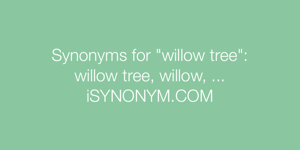 Synonyms willow tree