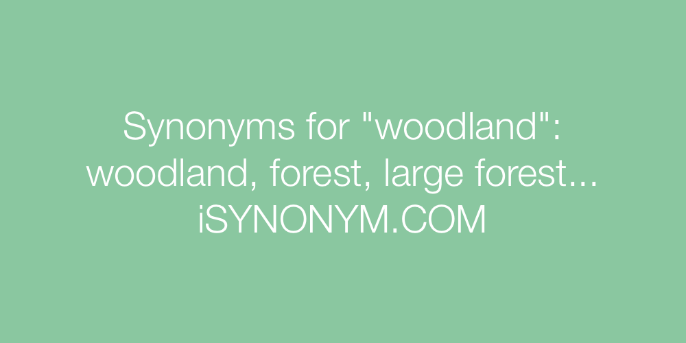 Synonyms woodland