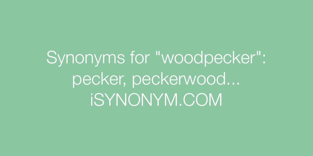 Synonyms woodpecker