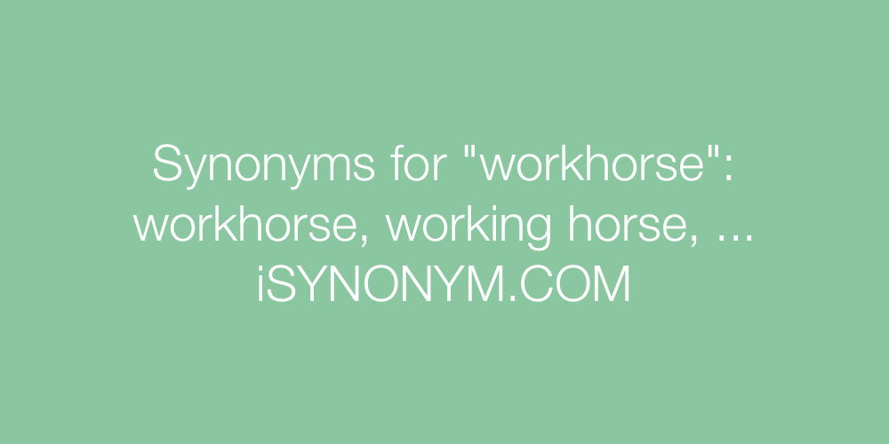 Synonyms workhorse